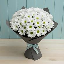 Букет цветов из:  Хризантемы #REPLACE_PRED# Полярном