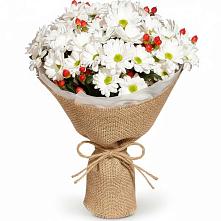 Букет цветов из:  Хризантемы #REPLACE_PRED# Полярном